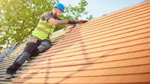 Best Roof Repair  in Webberville, MI