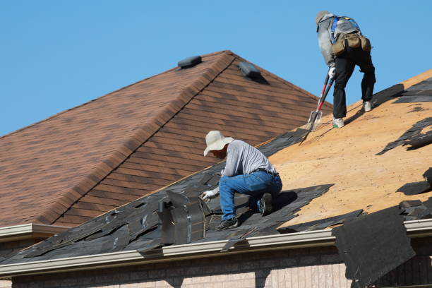 Best Roof Coating Services  in Webberville, MI