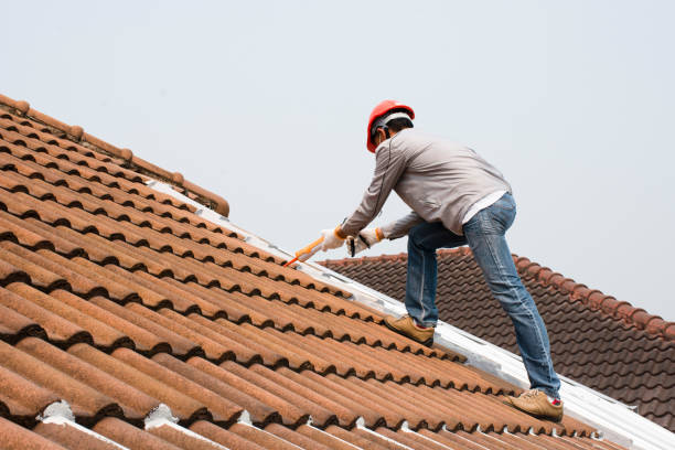 Best Gutter Installation and Repair  in Webberville, MI