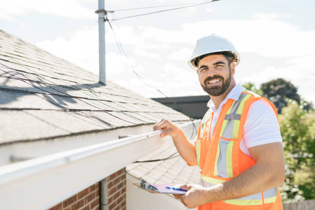Best Sheet Metal Roofing  in Webberville, MI