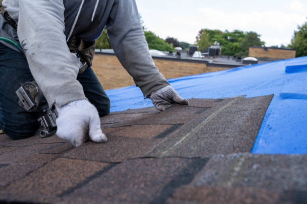Sheet Metal Roofing in Webberville, MI