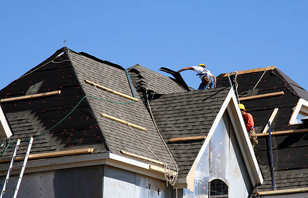 Best Roof Ventilation Installation  in Webberville, MI